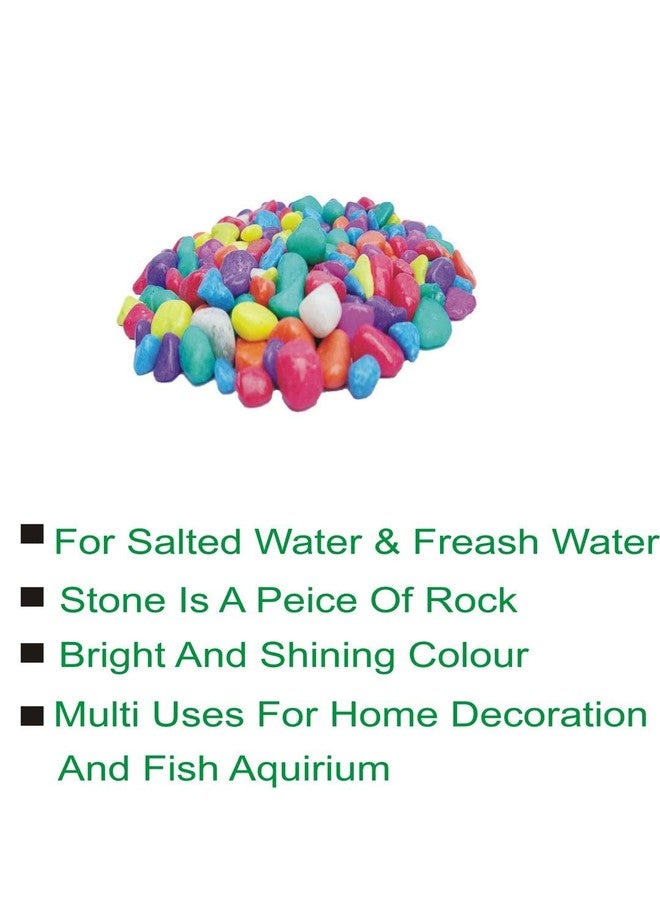 Afast Multicolor Pabbles/Stone for Garden, Plants, Aquarium & Home Decor, Marvels, Decoration, Fish Aquarium, Vase Filler, 0.5 KG -AAAAC1 - Image 3